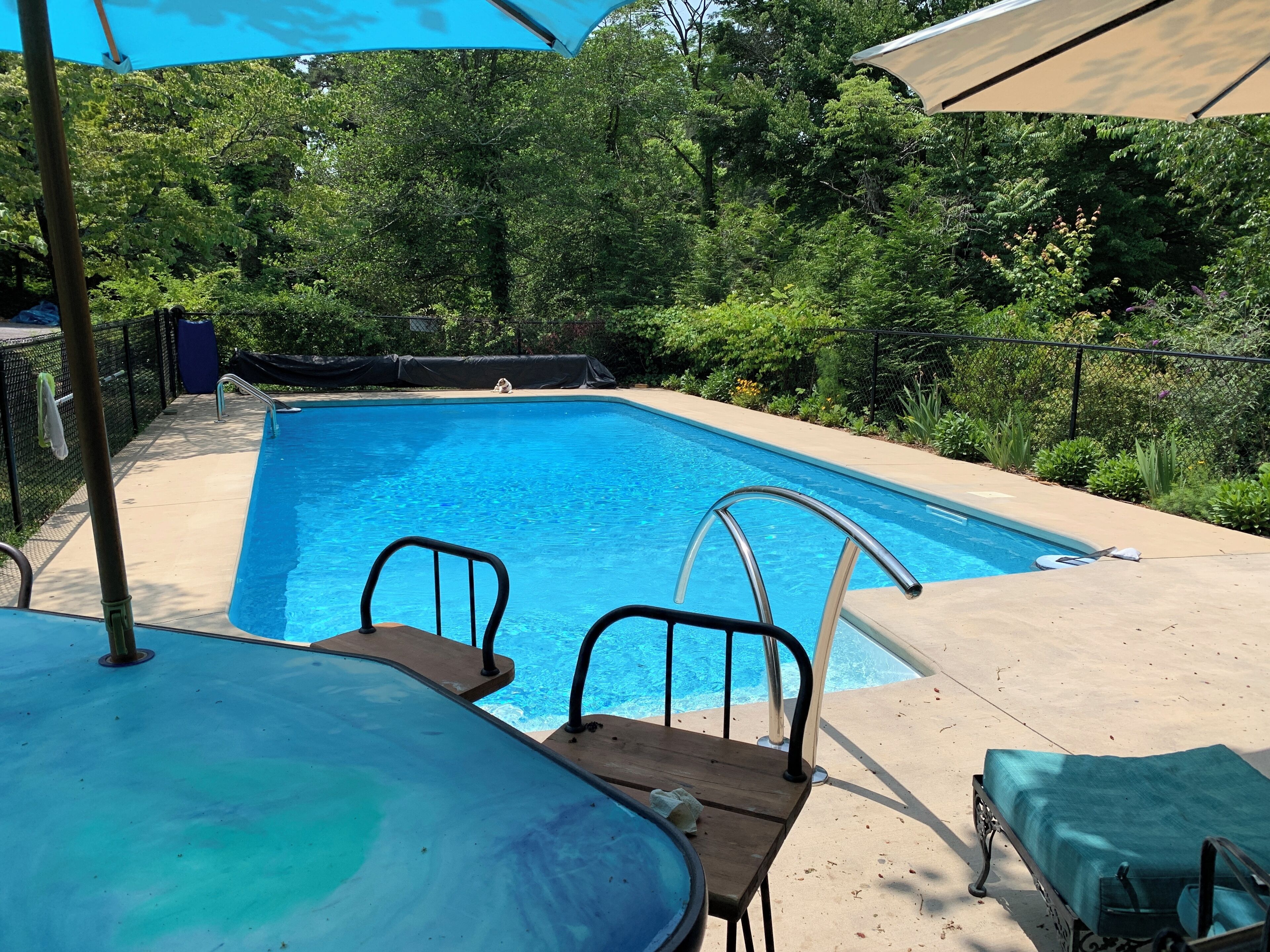 Lavender Hill has a Saltwater Pool, walkable to town & Private patio entrance