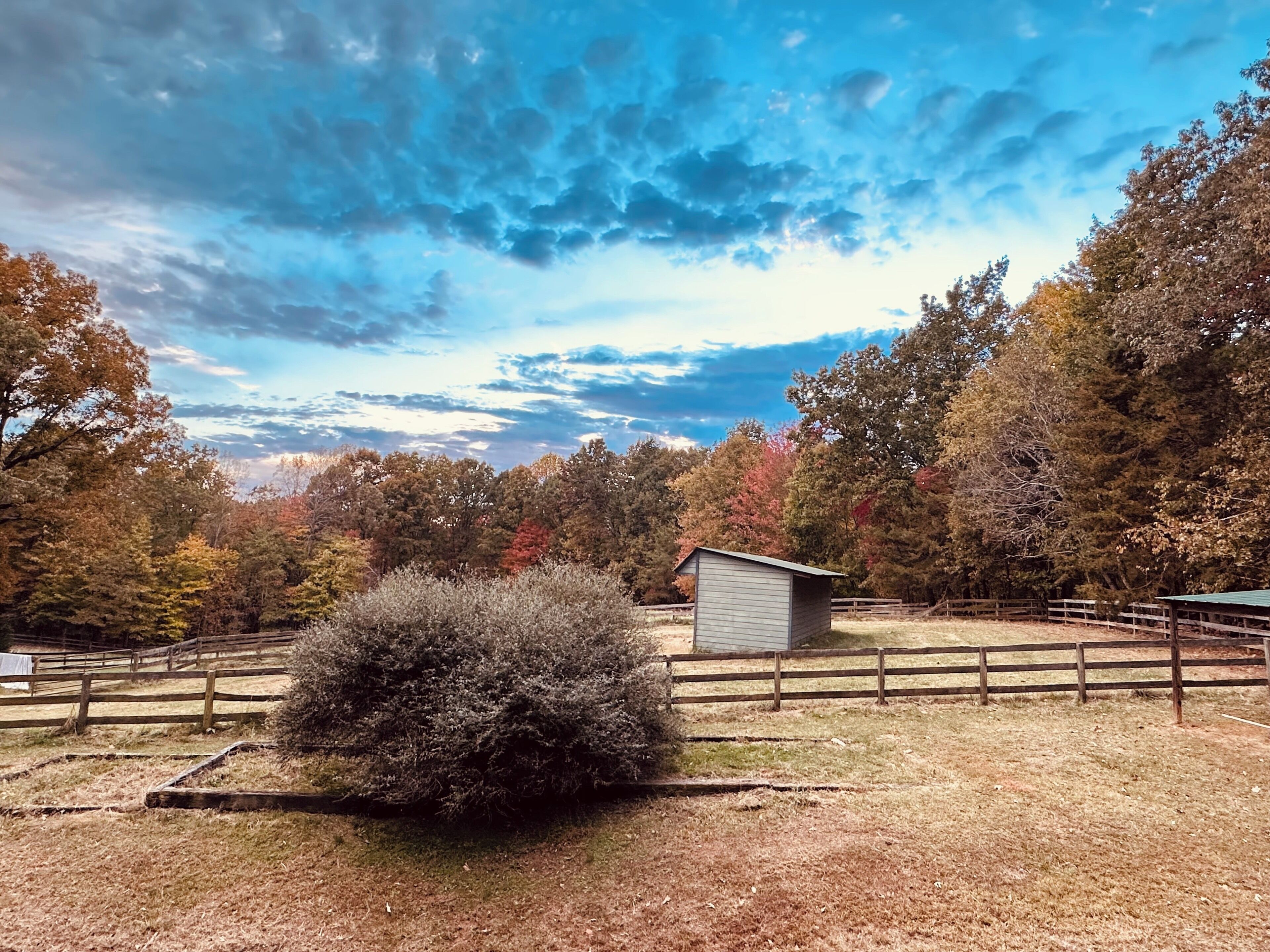 Private Guest House in the Woods situated on 27 acres.  