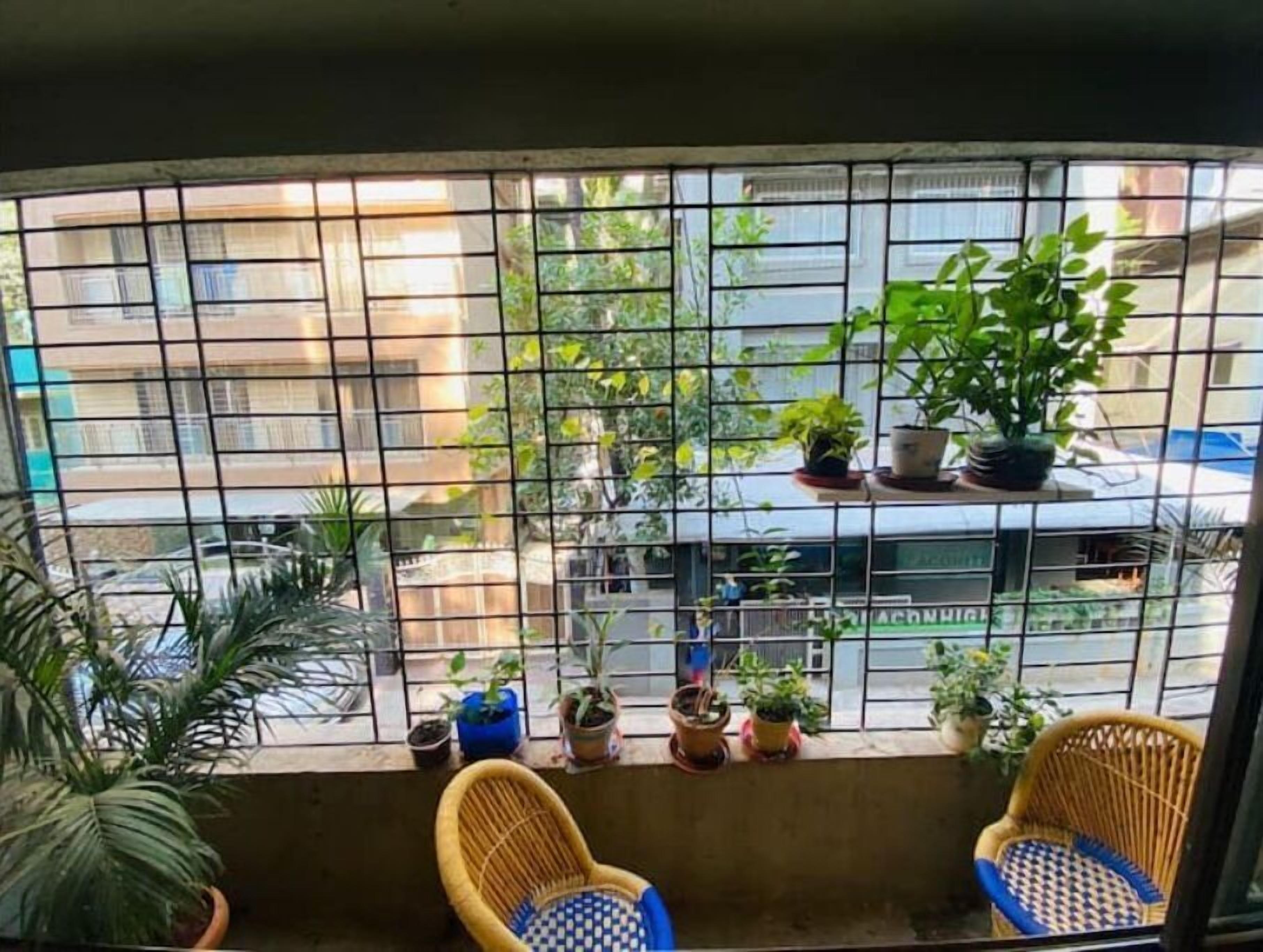 Nature Inspired Sun Drenched 1BR in Bandra