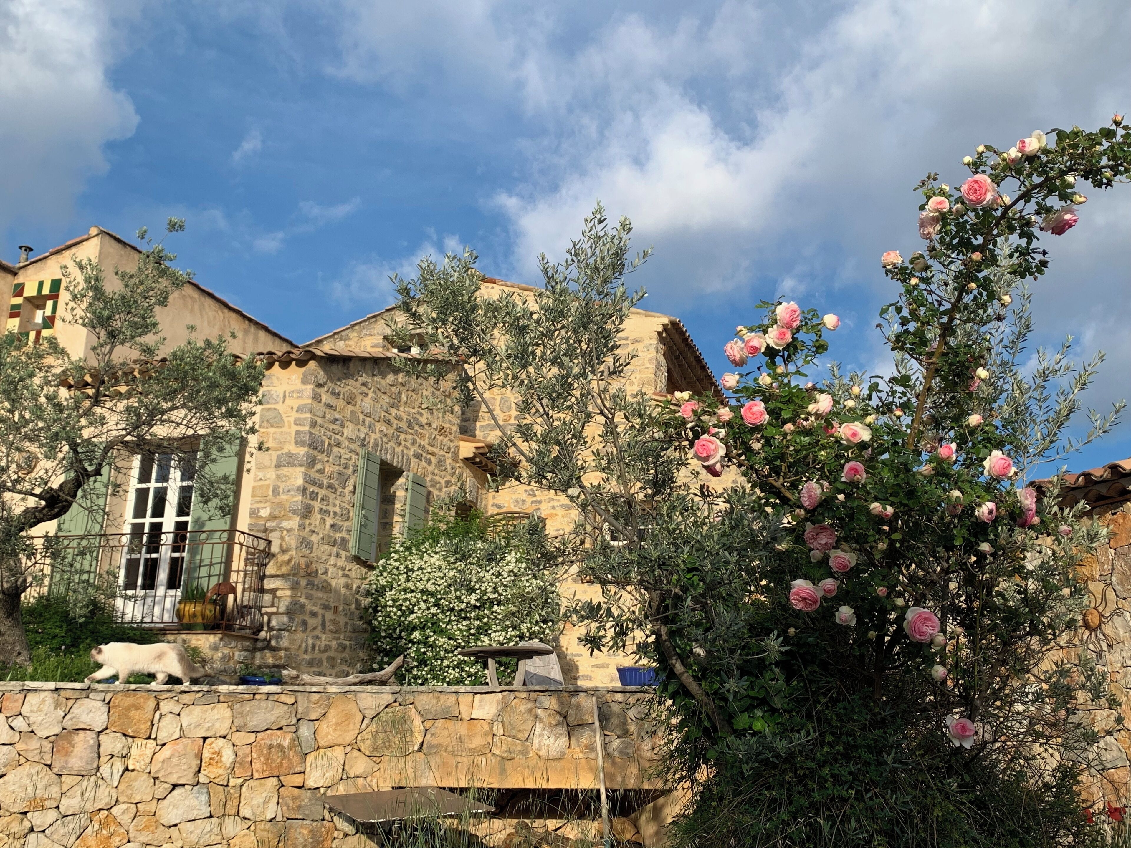 La Rainette en Provence, Chambre à L'écart Dans Propriété Parsemée D'oliviers