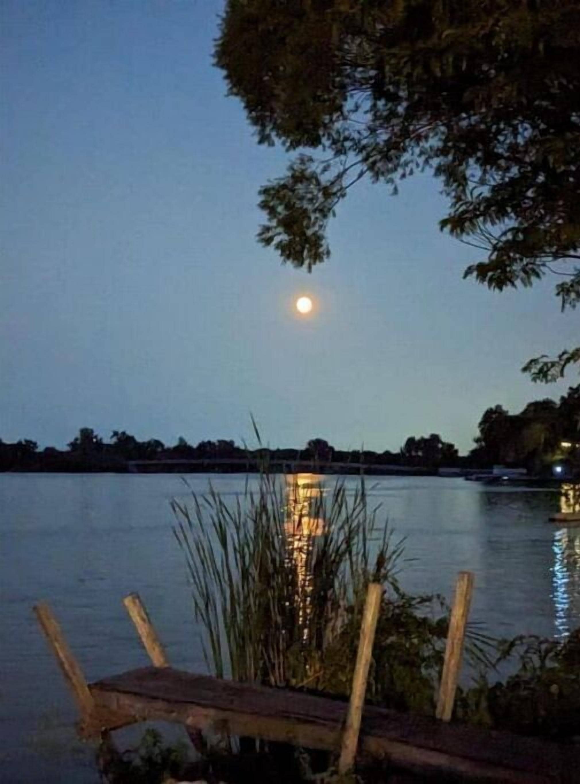 Lakefront Comfy 1BR Cabin @ The Lake-Heim by Chain-O-Lakes