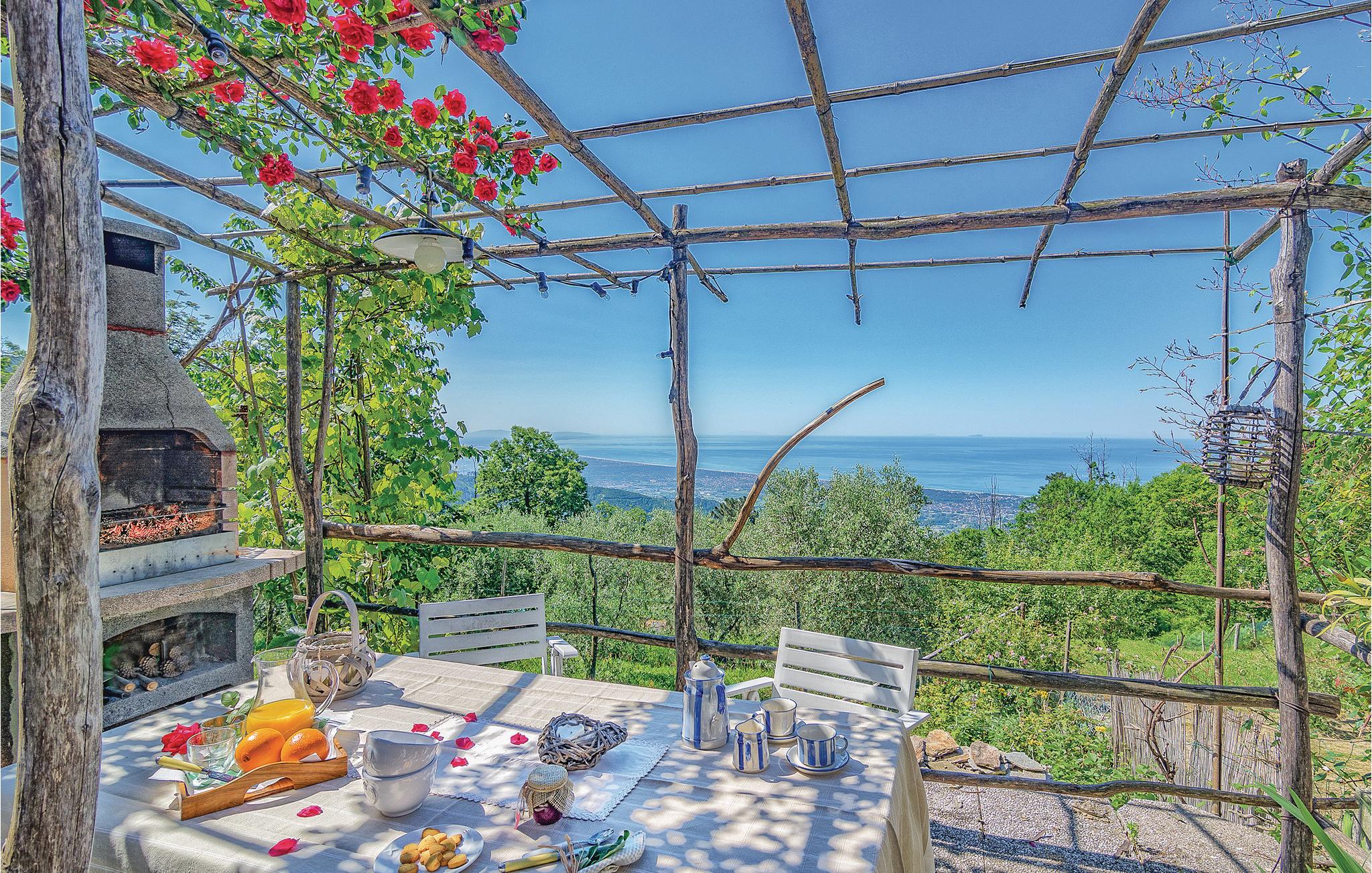 L´Olivo sul Mare