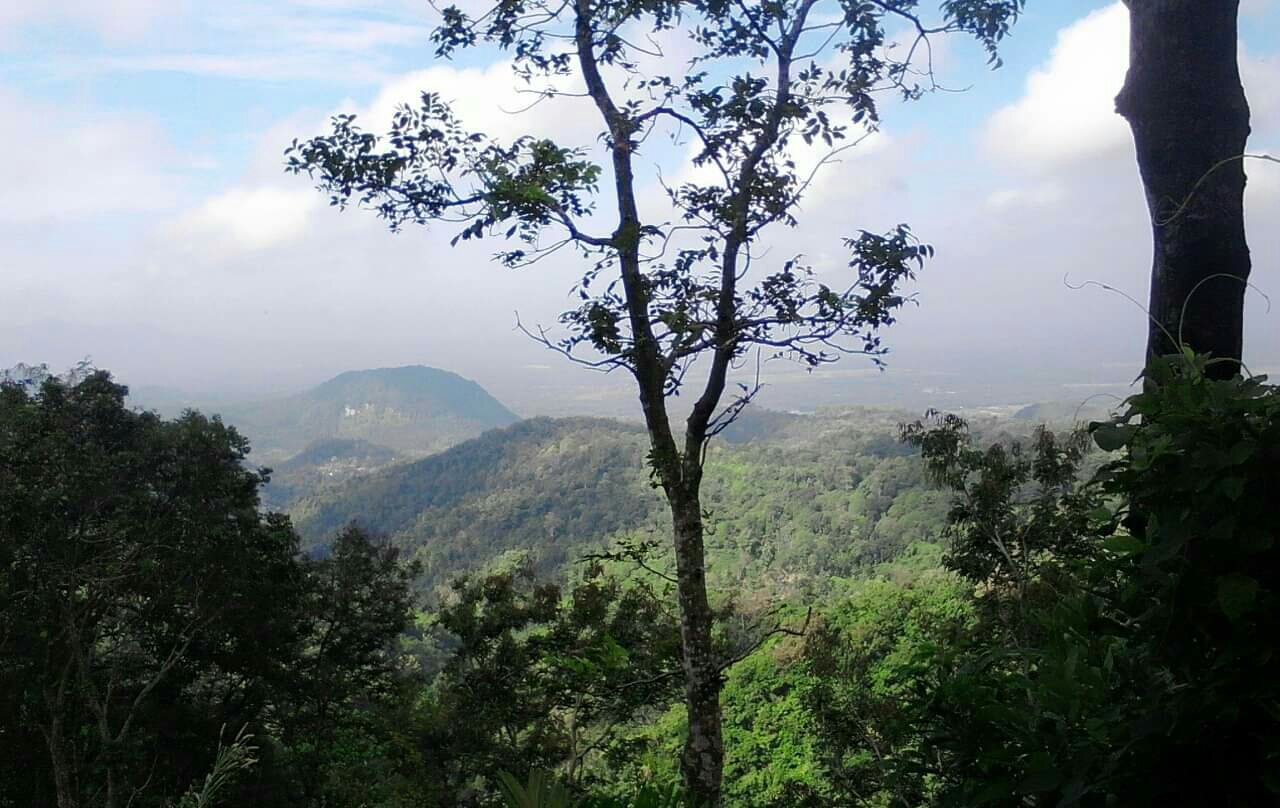 Holiday rentals Lasem