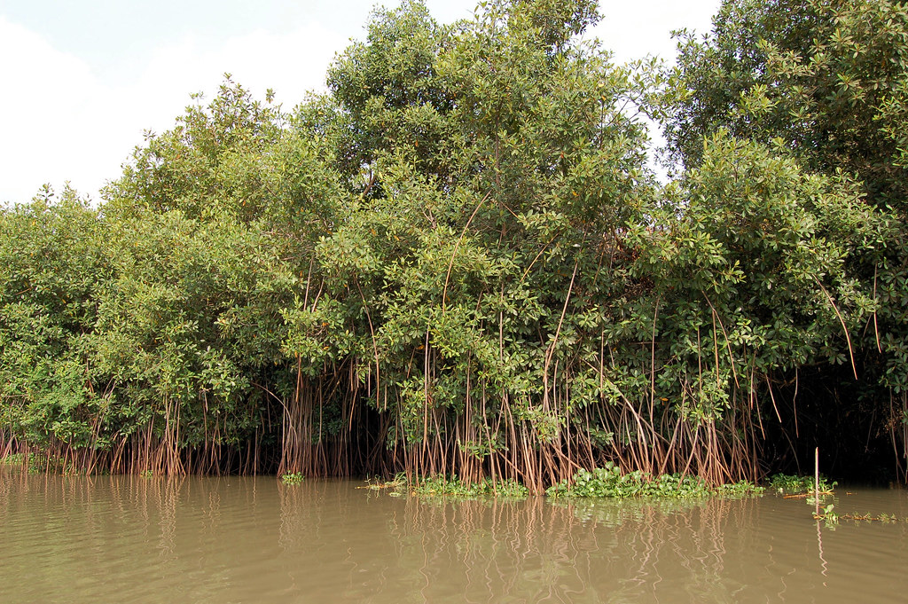 Holiday rentals Grand-Popo