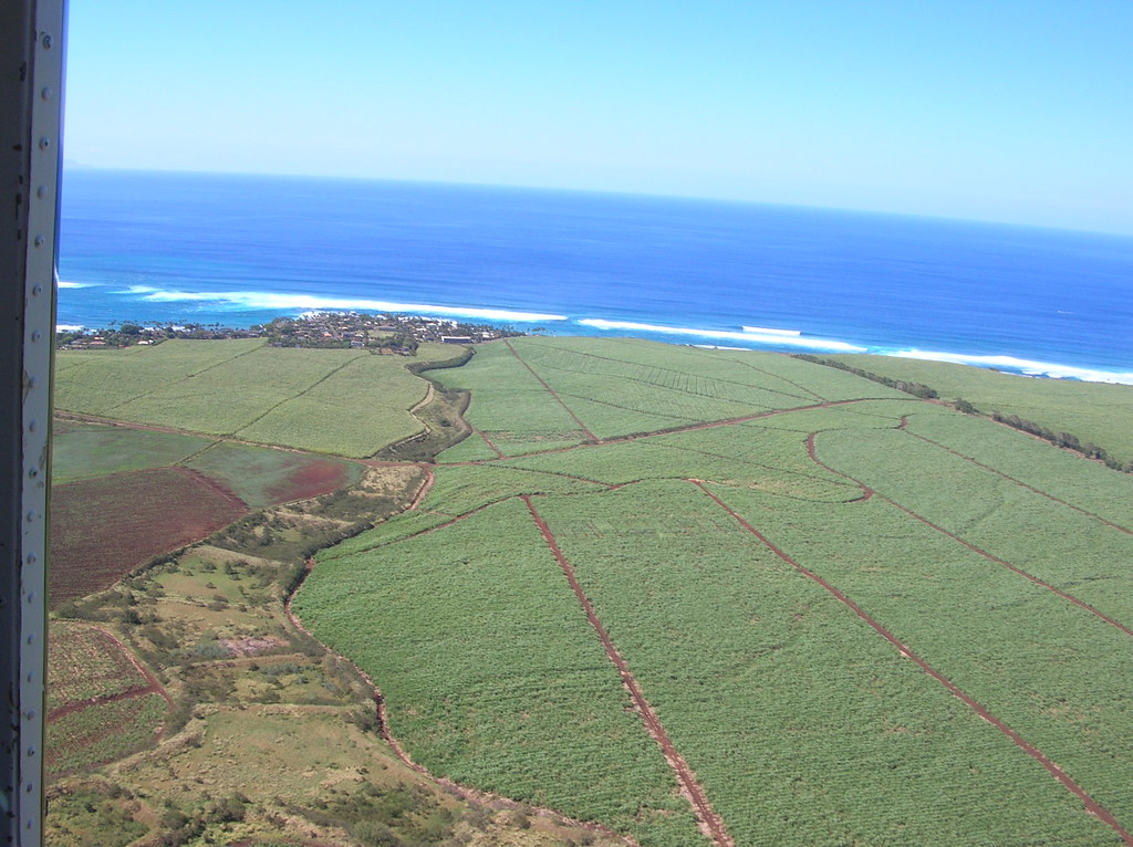 Hotels in Paia