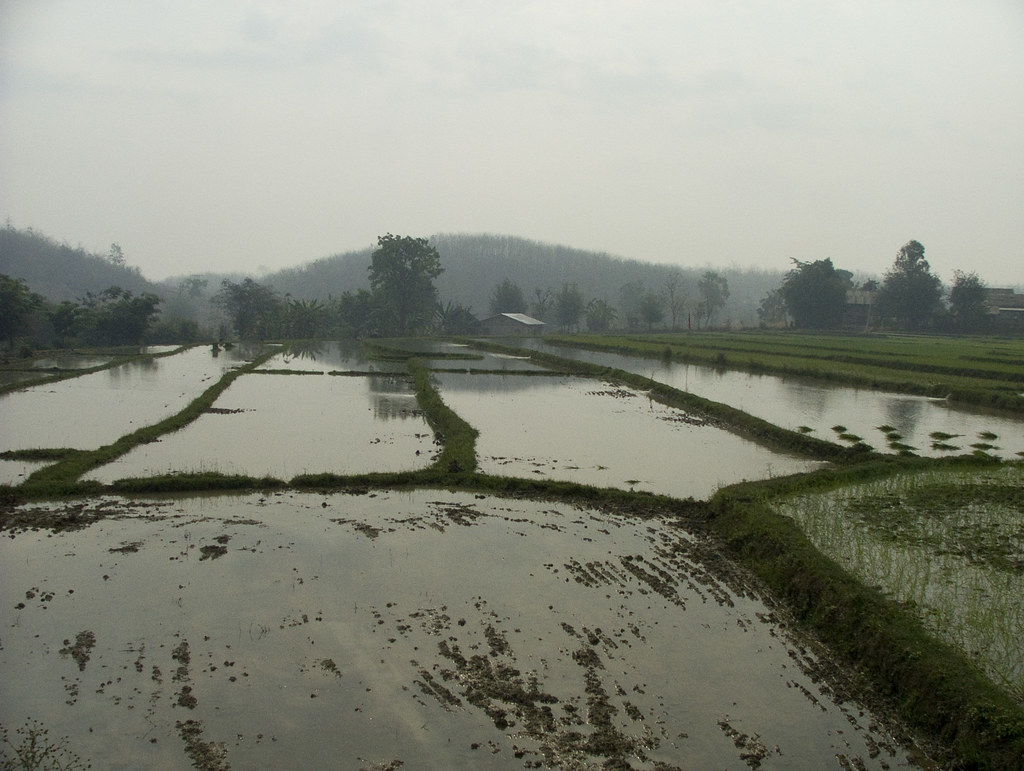 Holiday rentals Jaworzno