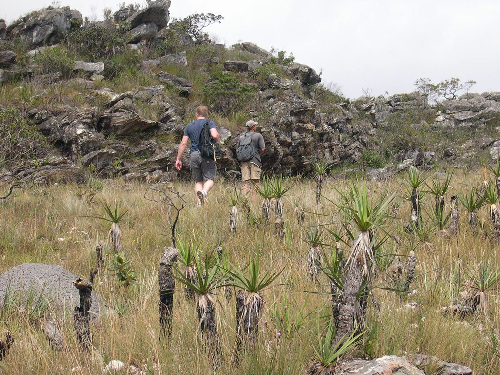 Holiday rentals Serra do Cipo
