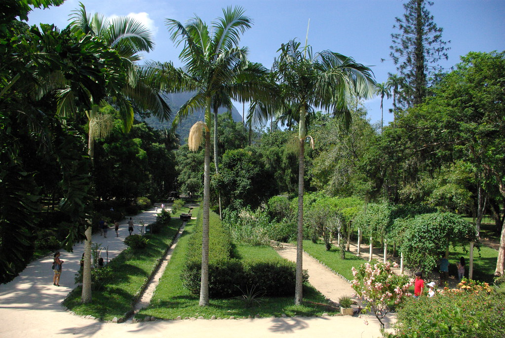 Case Vacanze Silva Jardim