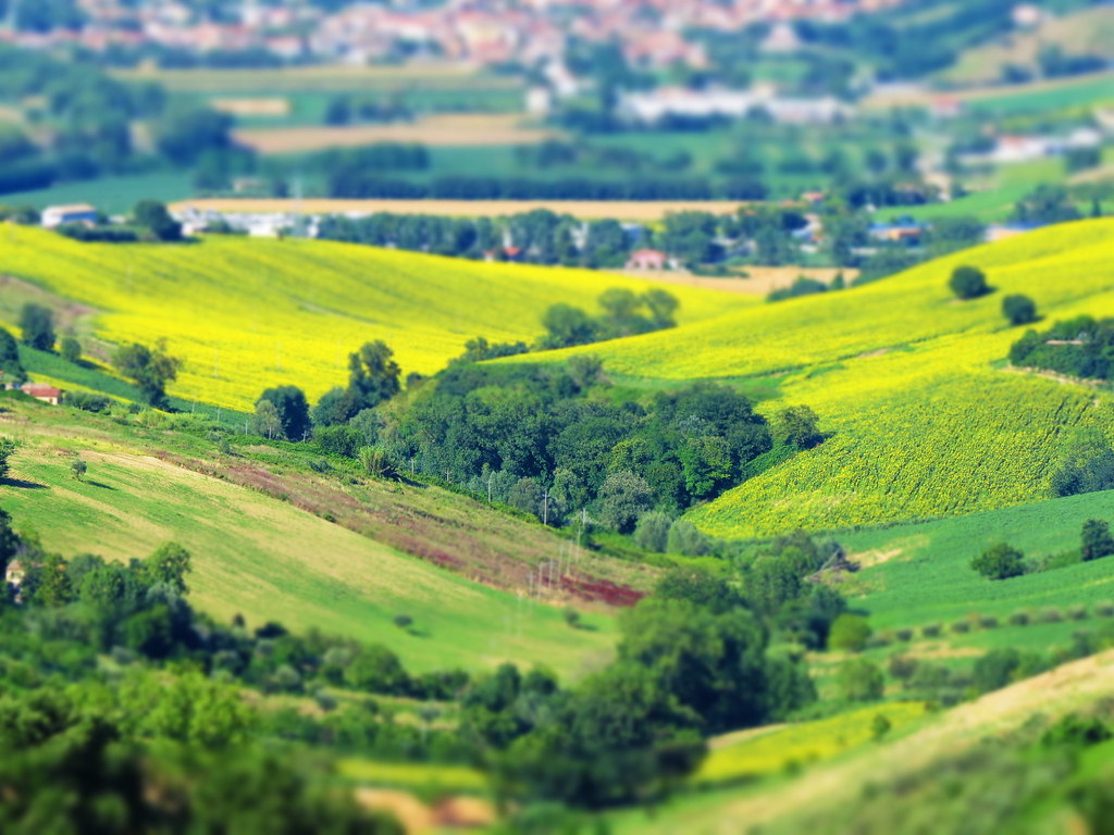 Holiday rentals Recanati