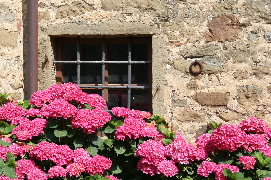 Holiday rentals Castiglione del Bosco