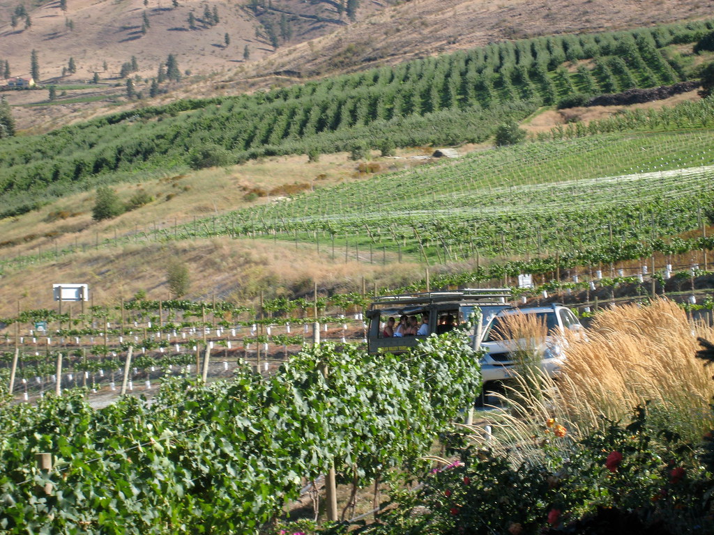 Holiday rentals Steenberg Wine Estate
