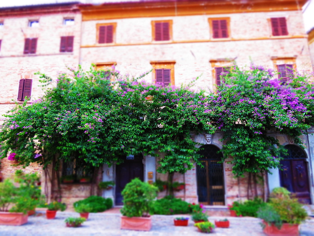 Holiday rentals Corinaldo