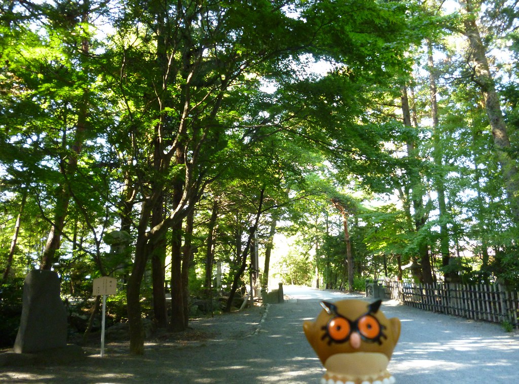 Holiday rentals Hotaka