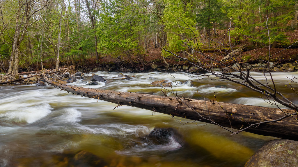 Holiday rentals Magnetawan