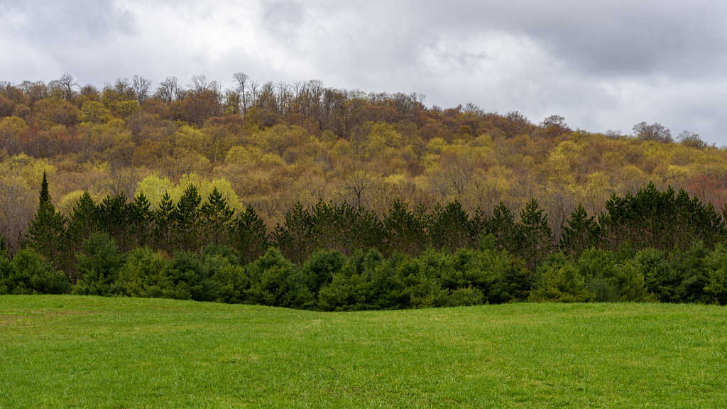 Holiday rentals Burks Falls