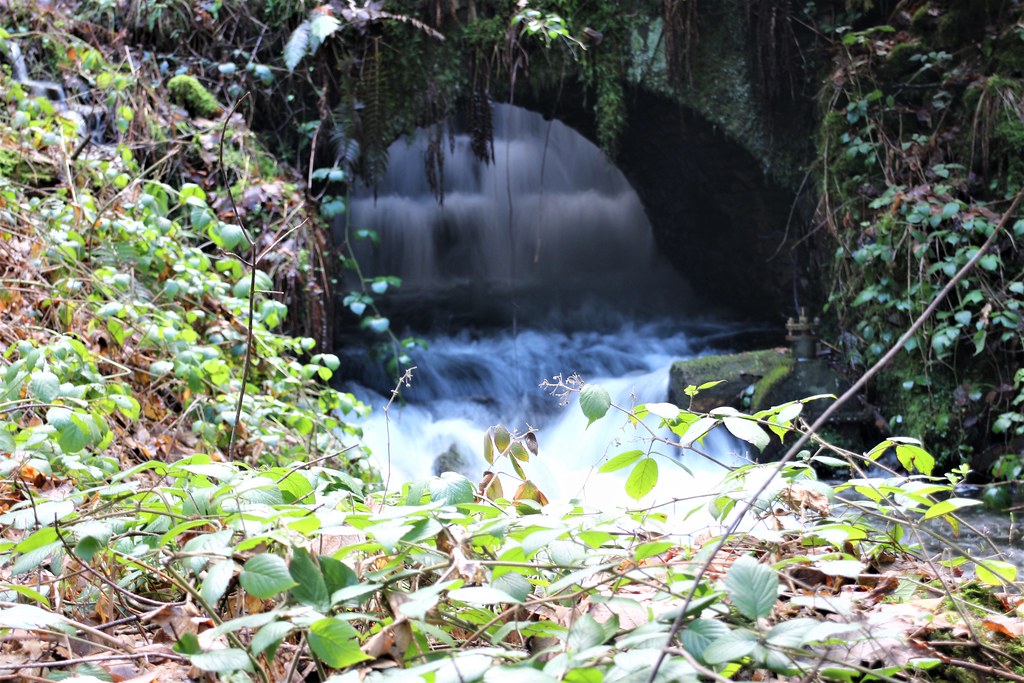 Case Vacanze Xonrupt-Longemer