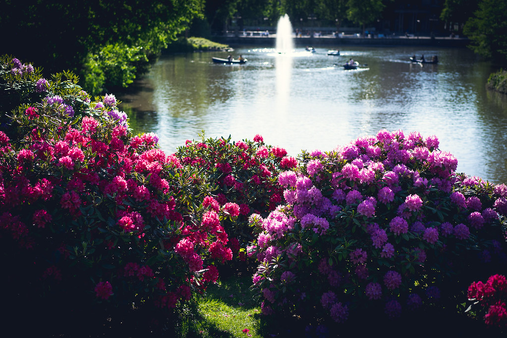 Holiday rentals Friedrichsbrunn
