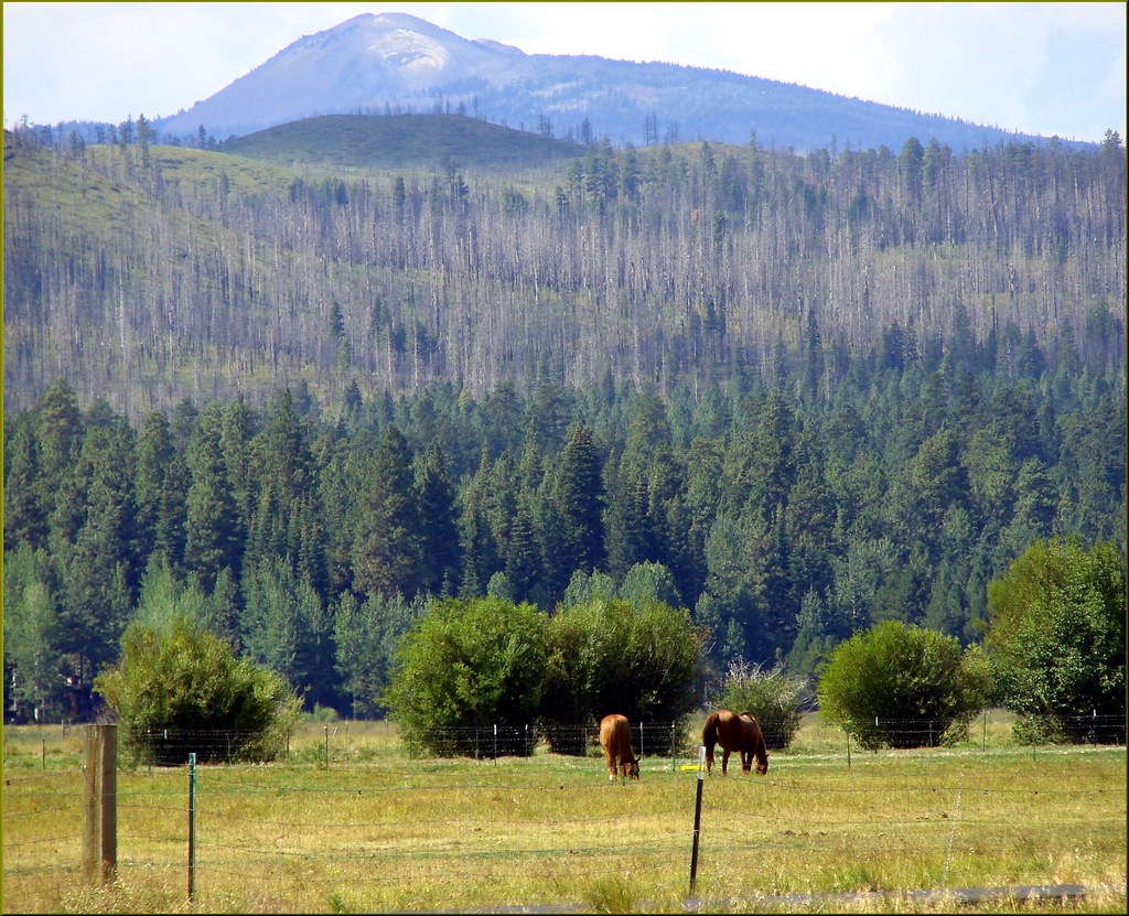 Holiday rentals Black Butte Ranch