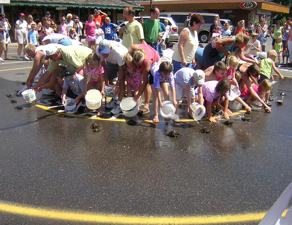 Casas rurales y b&b baratos en {{destination}}