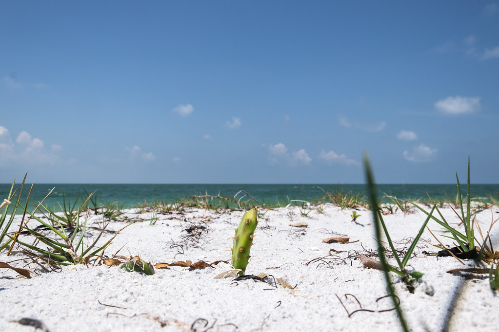Holiday rentals North Captiva