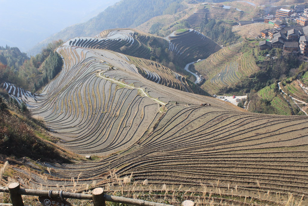 Hotels in Longsheng