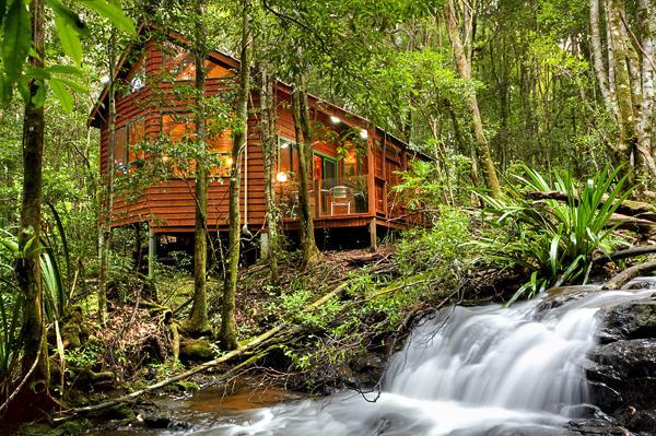 The Mouses House Rainforest Retreat