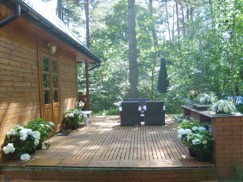 country house in a forest