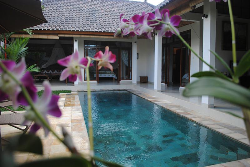 Villa Palm Merah - Stunning new villa, close2 Ubud