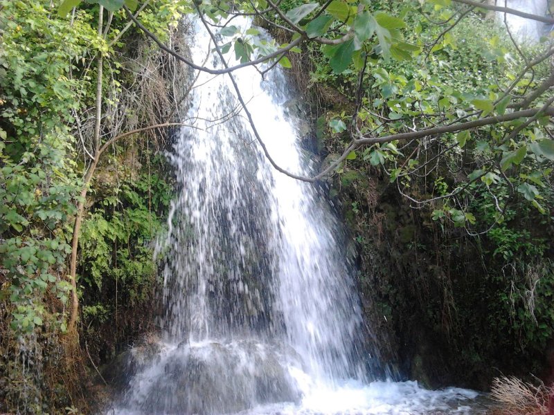 Casa La Cascada El Bosque