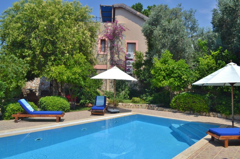 Villa Ayisigi Bahcesi