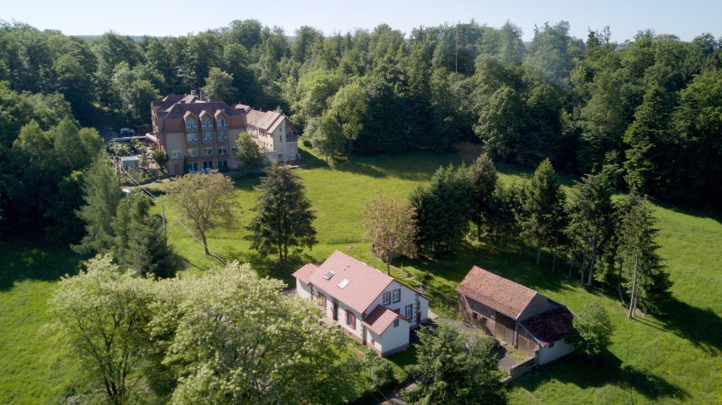 Tourism Furnished Forest House Bonne Fontaine