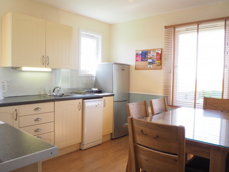 GREY GOS, The Decc : Self Catering Shetland