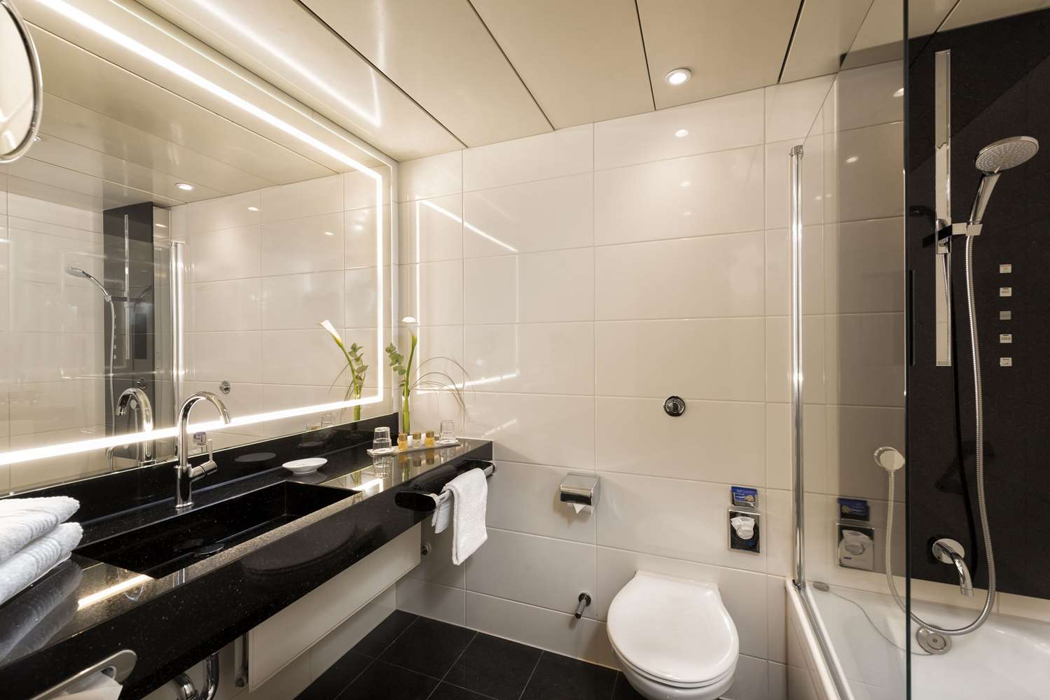MARITIM HOTEL BONN