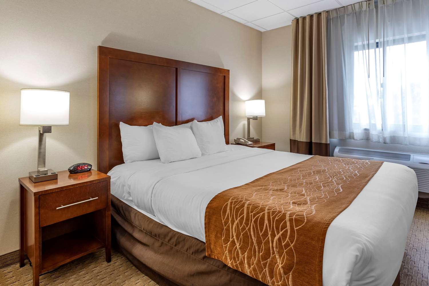 COMFORT INN SYOSSET-LONG ISLAND