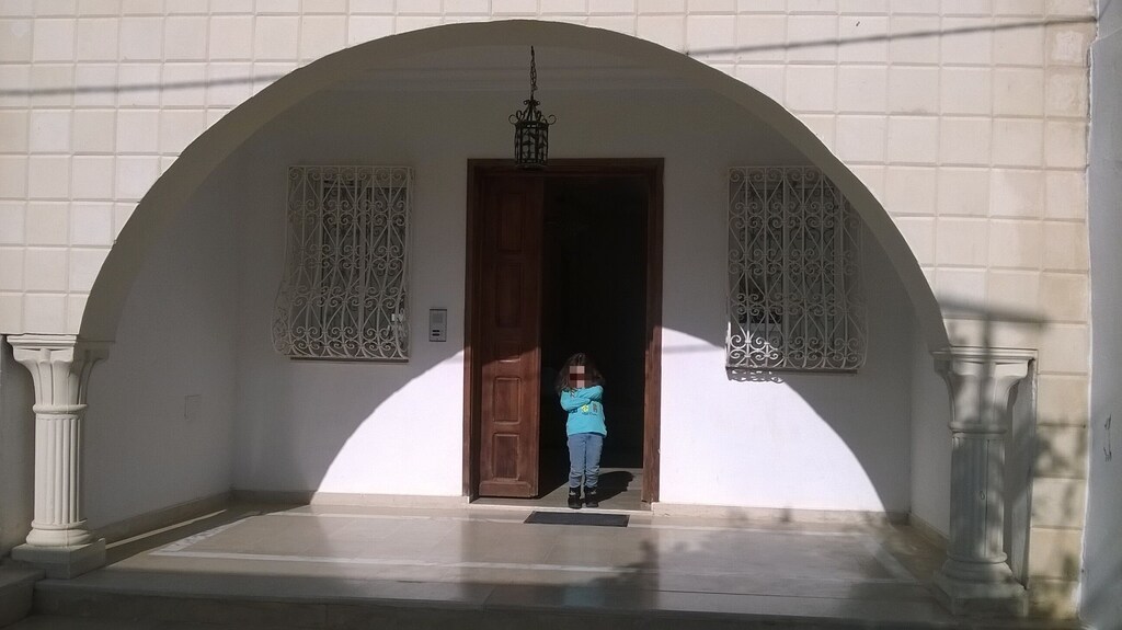 Furnished villa near the sea