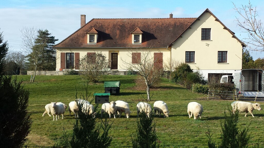 Comfortable, Spacious Gite with pool