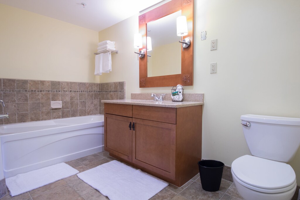 One bedroom Condo Suite at the Appalachian Resort