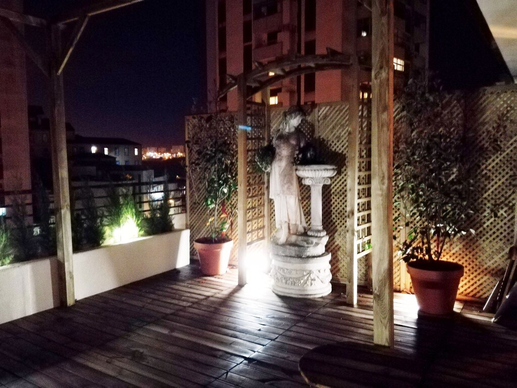 APARTMENT GARDEN MUSIC