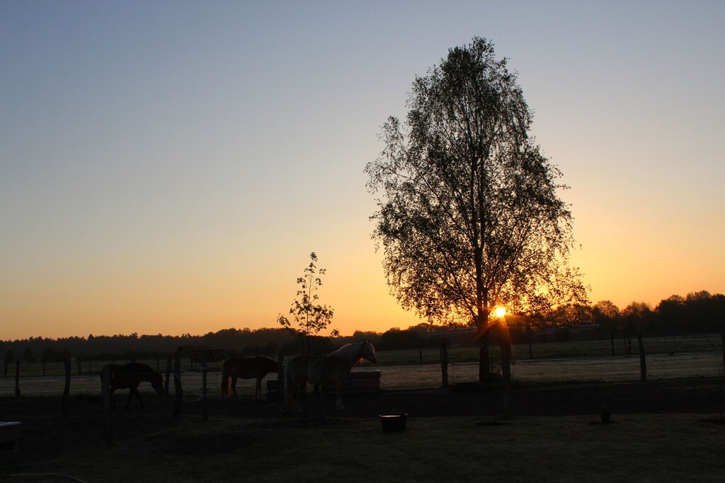 Cozy holiday home at the Soorbeckenhof between Lüneburg and Hamburg