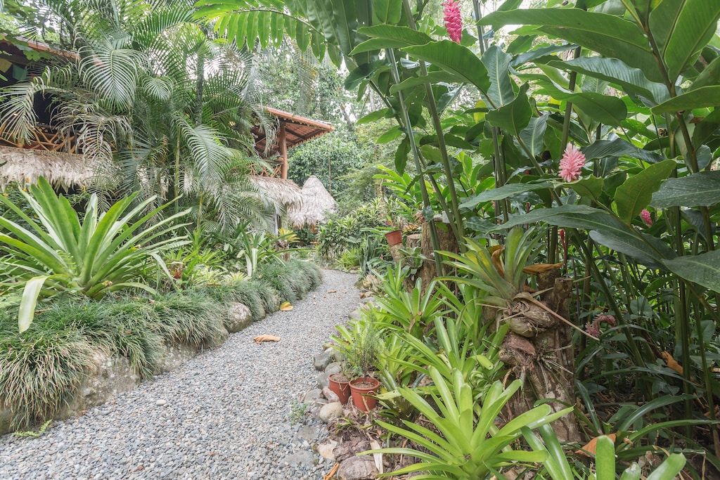 Jungle living at it's finest! Sleeps 2-9 persons in Caribe's most desired area.