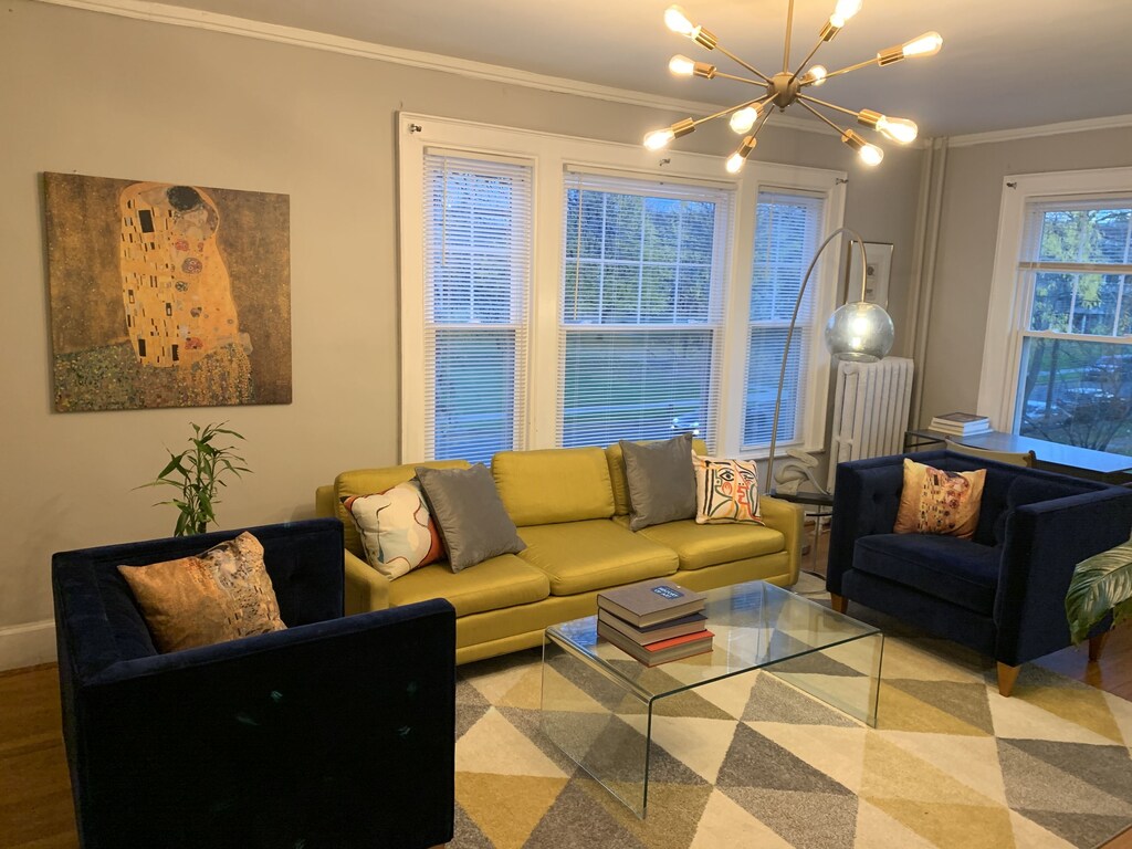 Luxurious SPECIAL mid century modern 1BR next to Albany med