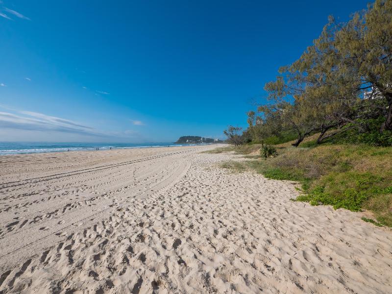 Burleigh Surf