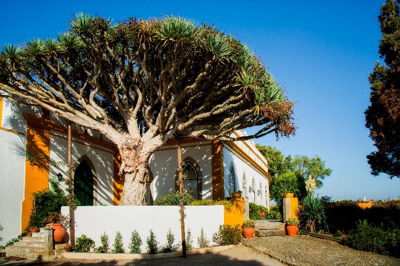 Casa Do Castelo
