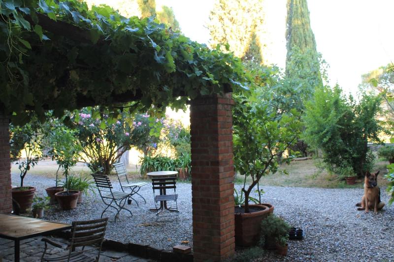 Il Poggio - One Bedroom