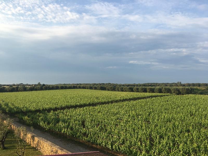Masseria San Polo