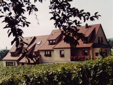 James Vignoble Hotel - Eguisheim
