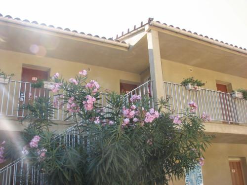Hotel & Appartements Acqua Dolce