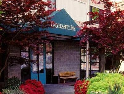 Staypineapple at University Inn
