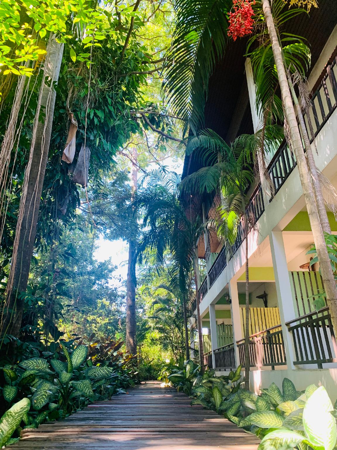 Tree House Hotel (SHA Certified)