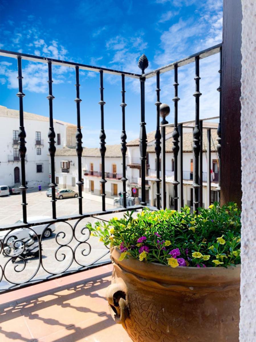 El Balcon de la Rosa LA PUEBLA DE MONTALBAN